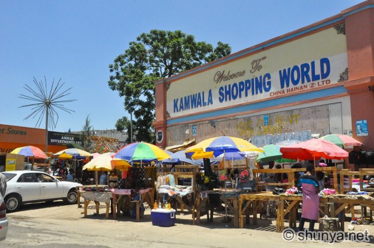 The Top 20 Untapped Business Ideas in Zambia for 2025