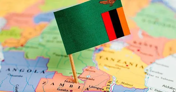 The Permanent Olive Branch: Zambia's 2026 Voluntary Disclosure Programme