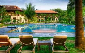 Why Are Lodges So Popular In Zambia: A Guide To Starting a Business in this Competitive Industry